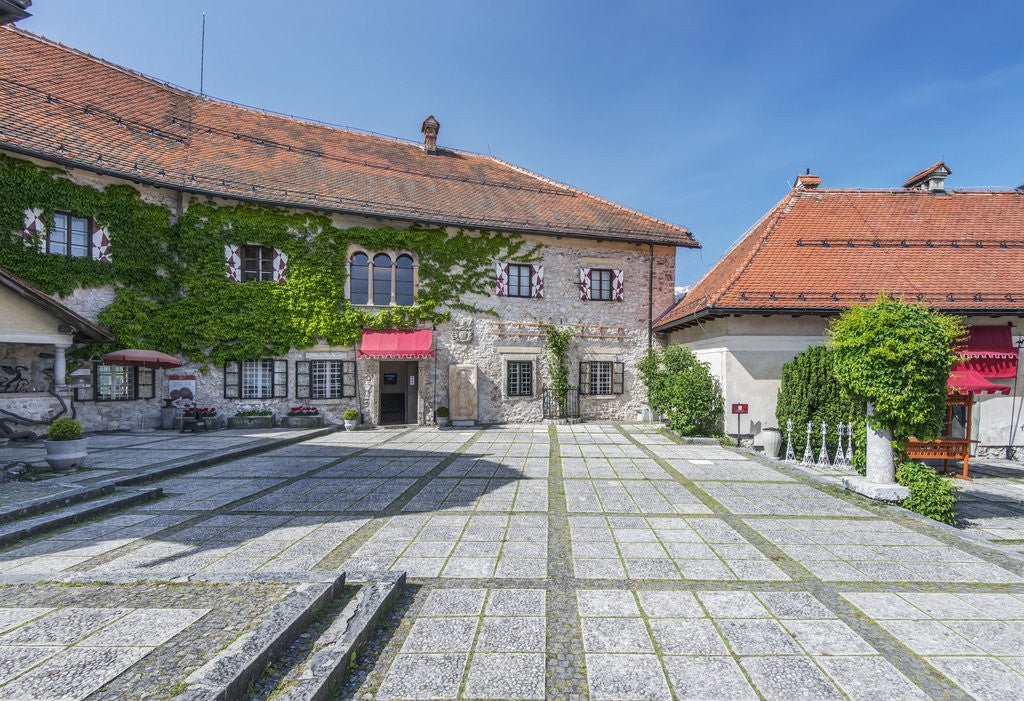 Detail of Bled Castle by Anonymous