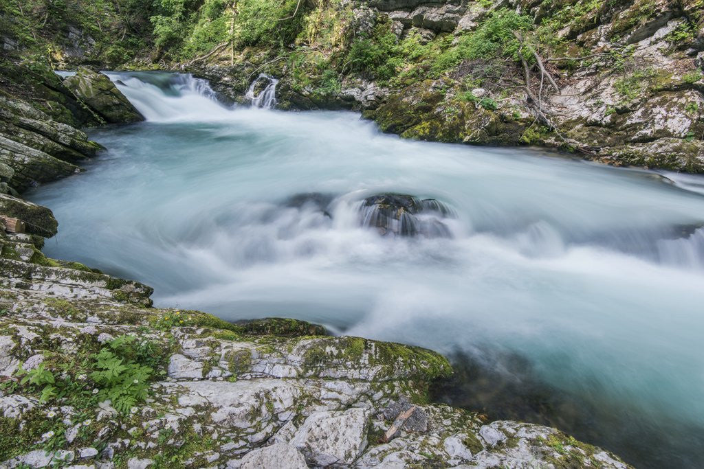 Detail of Vintgar Gorge by Anonymous