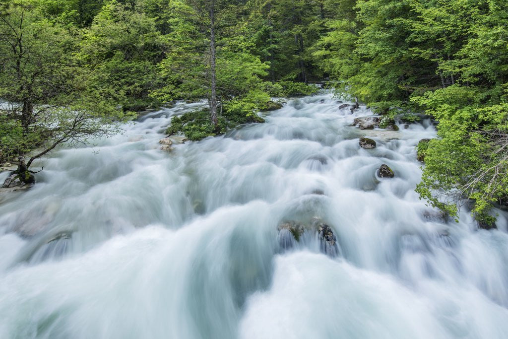 Detail of Soca River by Anonymous