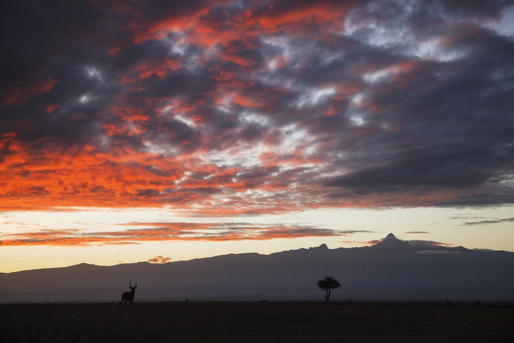 Detail of Mount Kenya, Kenya by Anonymous
