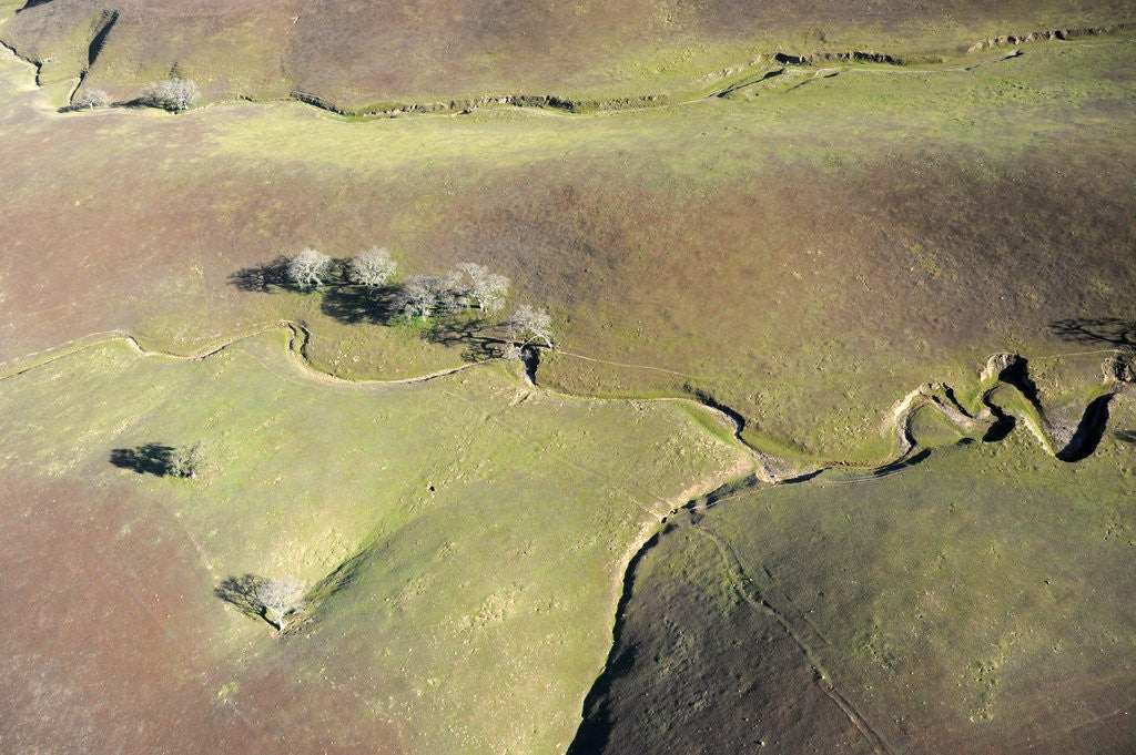 Detail of Aerial view of a dried up stream in Santa Ynez, California by Anonymous
