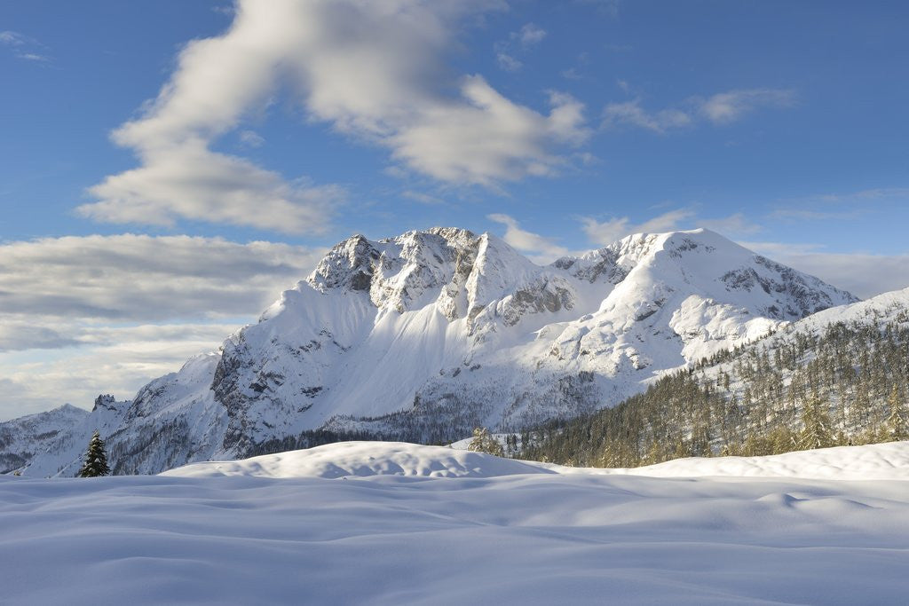 Detail of Mount Bivera seen by Casera Razzo, casera razzo , veneto, Italy, Italia by Anonymous