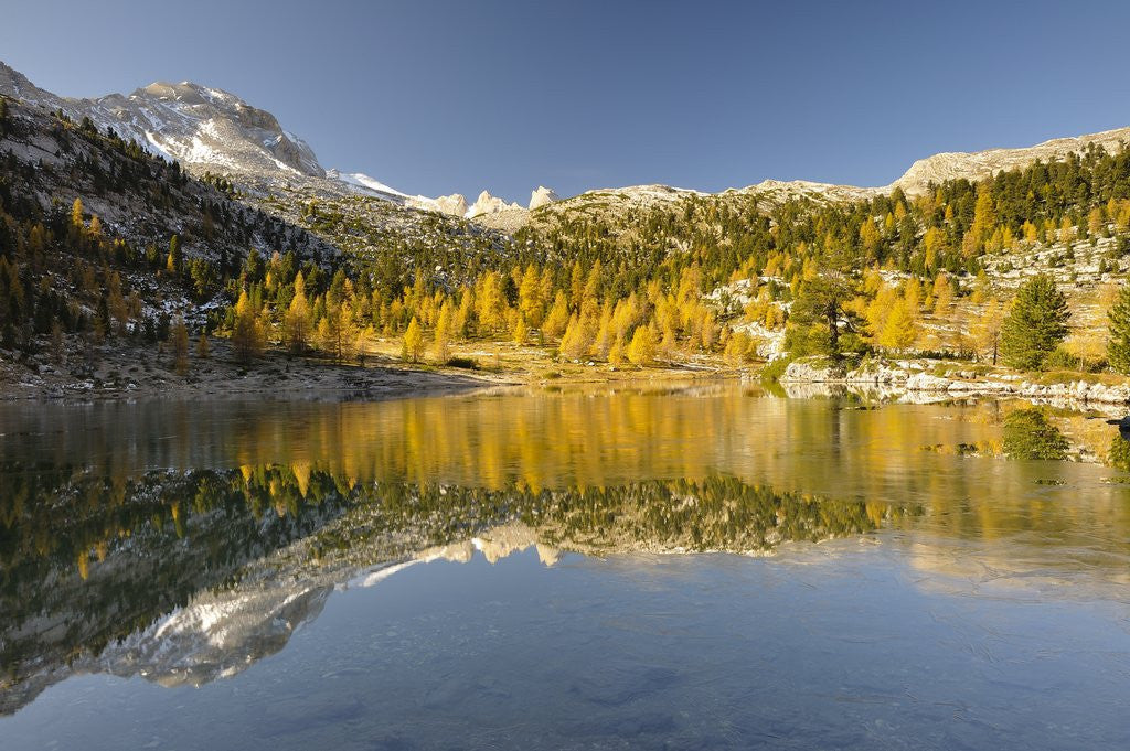 Detail of Alpine lake near Lavarella and Fanes huts,Sennes, Fanes, Braies Natural Park, Alto Adige, Italy by Anonymous