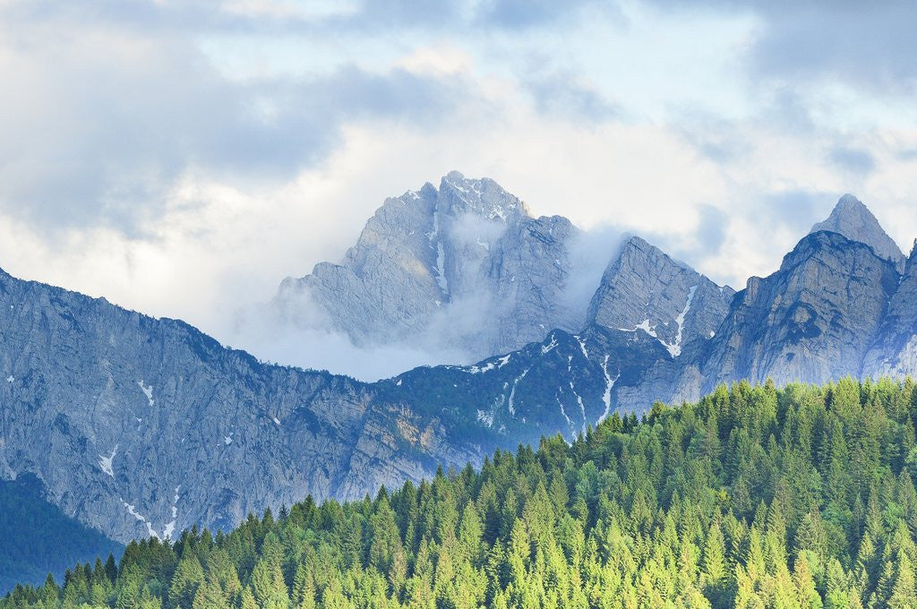 Detail of The mount Sernio emerges from the clouds and stands with majesty abiove the green woods, Alpi Carnic by Anonymous