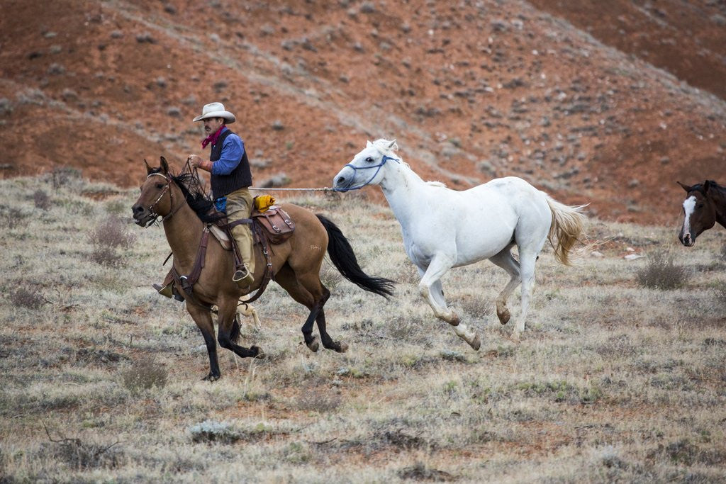 Detail of Cowboy at Full Gallop by Anonymous