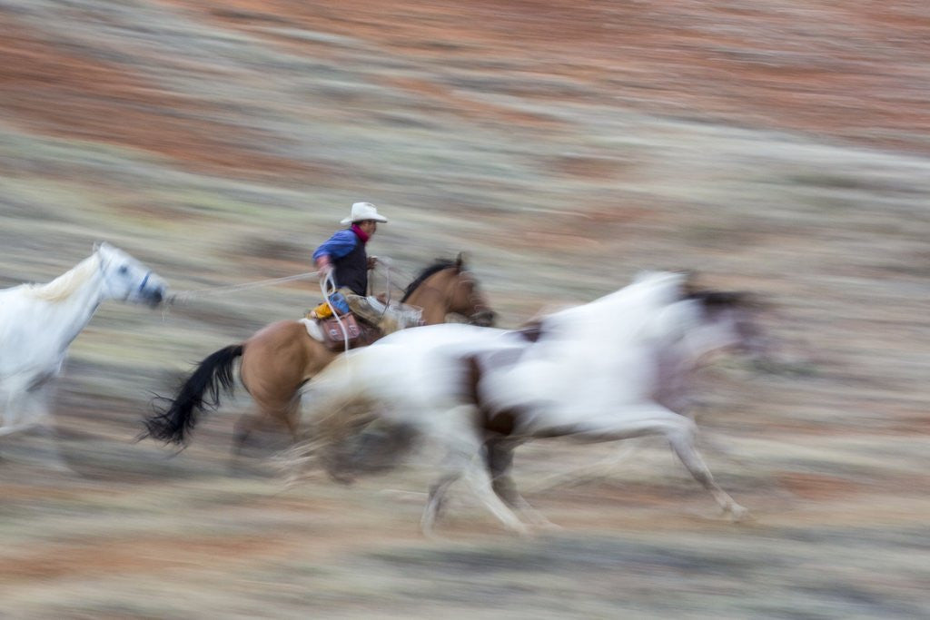 Detail of Cowboy at Full Gallop in motion by Anonymous