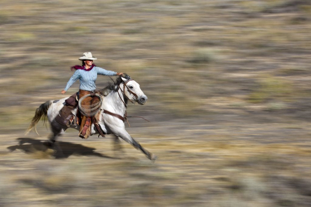 Detail of Cowgirl riding at full speed in motion by Anonymous