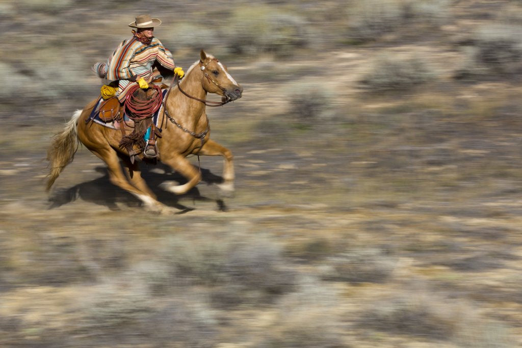 Detail of Cowgirl riding at full speed in motion by Anonymous