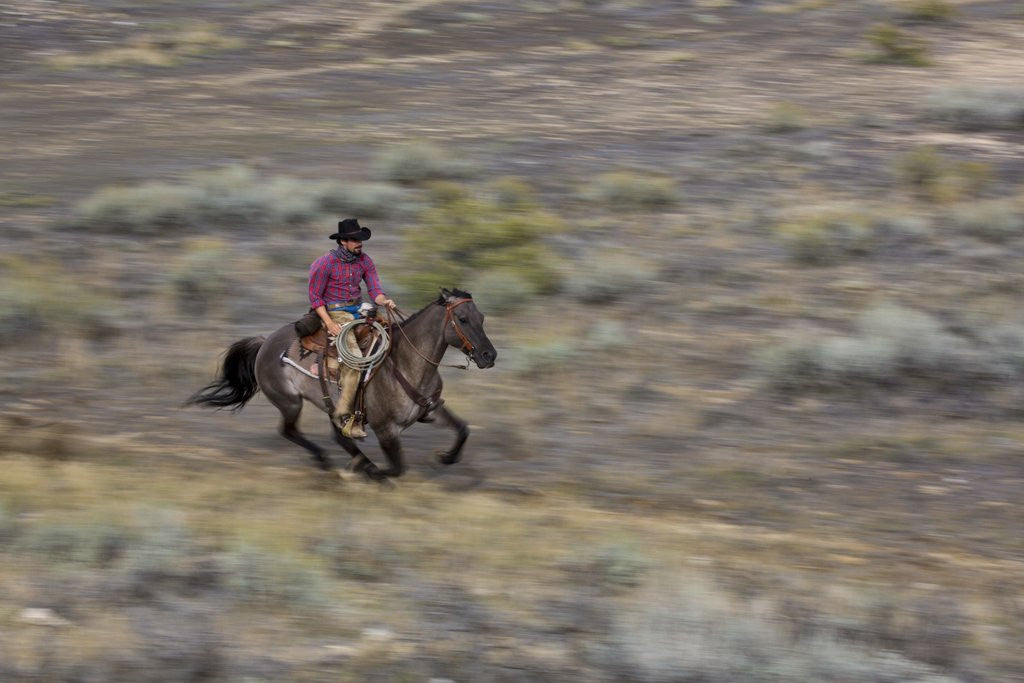 Detail of Cowboy riding at full speed in motion by Anonymous