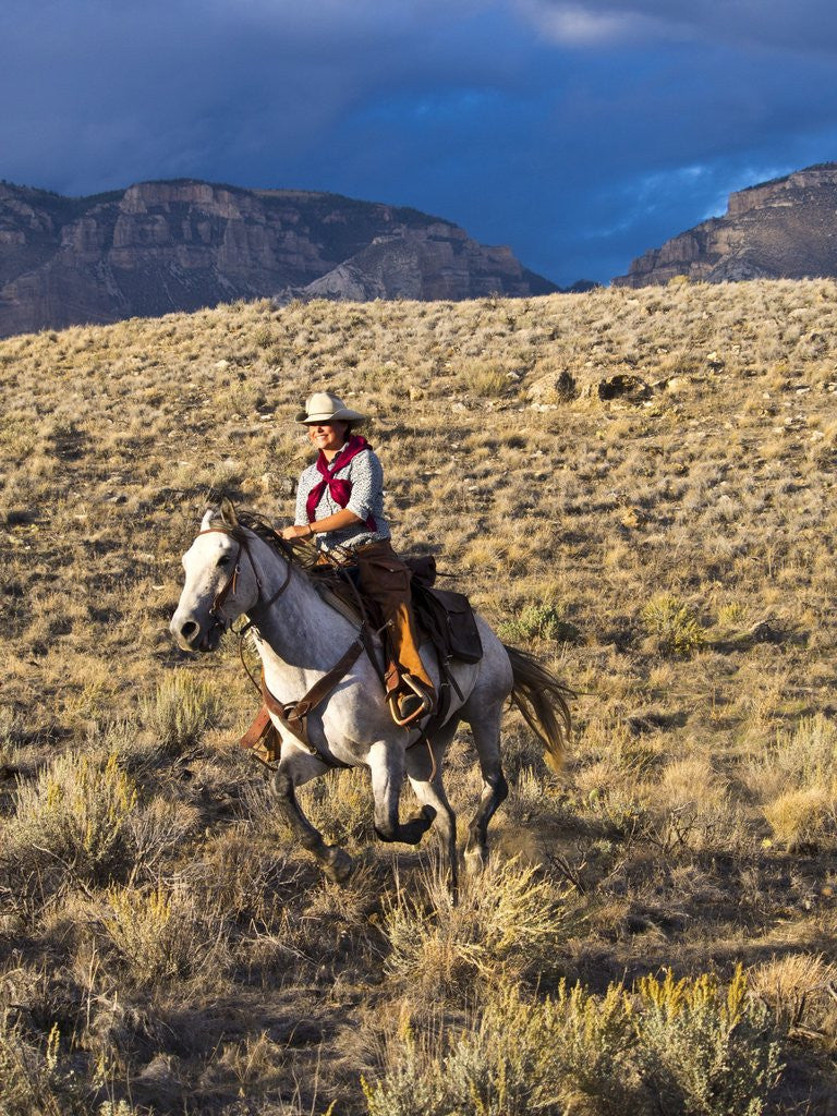 Detail of Cowgirl riding at full speed in motion by Anonymous