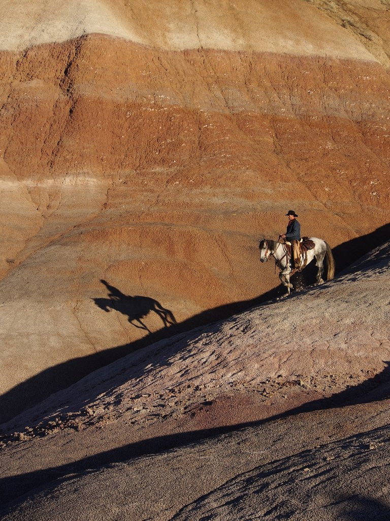 Detail of Rider with Shadow coming down Hill in Painted Desert by Anonymous