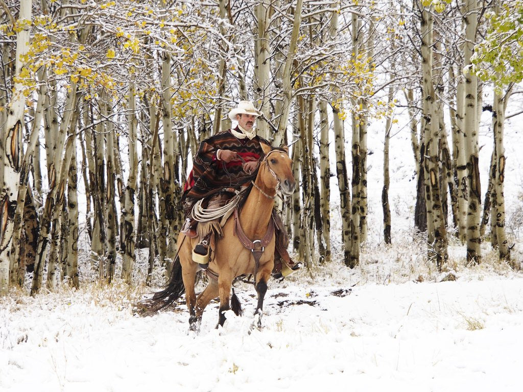 Detail of Cowboys riding in Autumn Aspens with a fresh snowfall by Anonymous