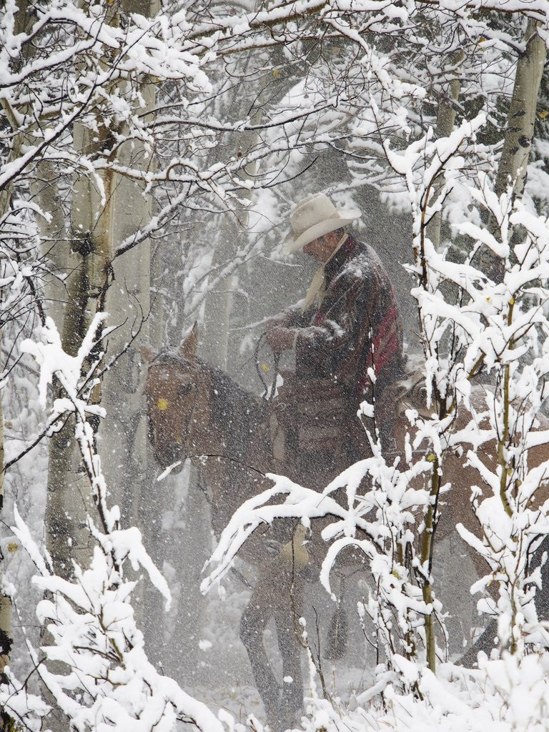 Detail of Cowboys riding in Autumn Aspens with a fresh snowfall by Anonymous