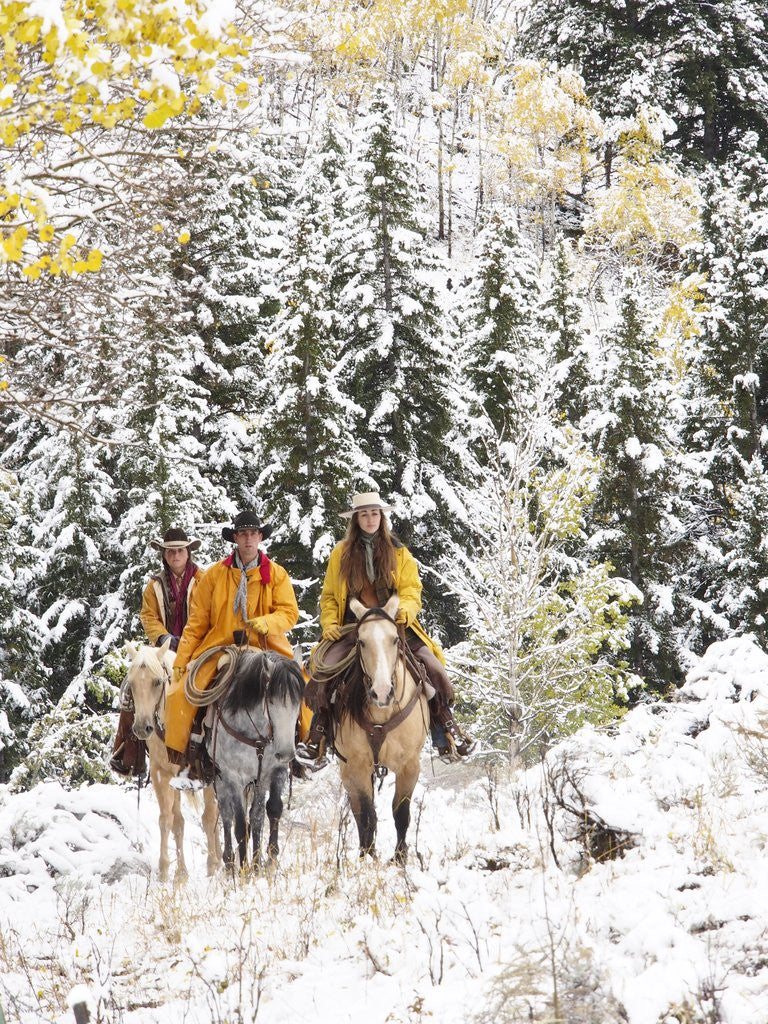 Detail of Cowgirls and Cowboy riding in Autumn Aspens with a fresh snowfall by Anonymous