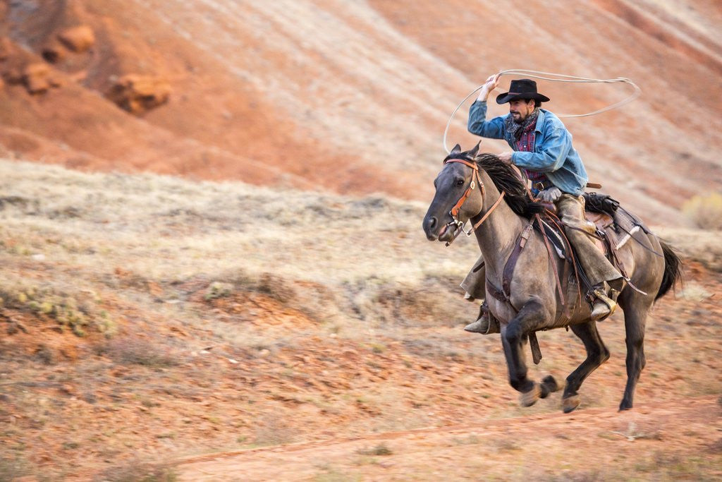 Detail of Cowboy at Full Gallop by Anonymous
