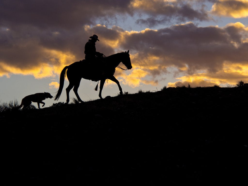 Detail of Cowboy in silhouette with sunset by Anonymous