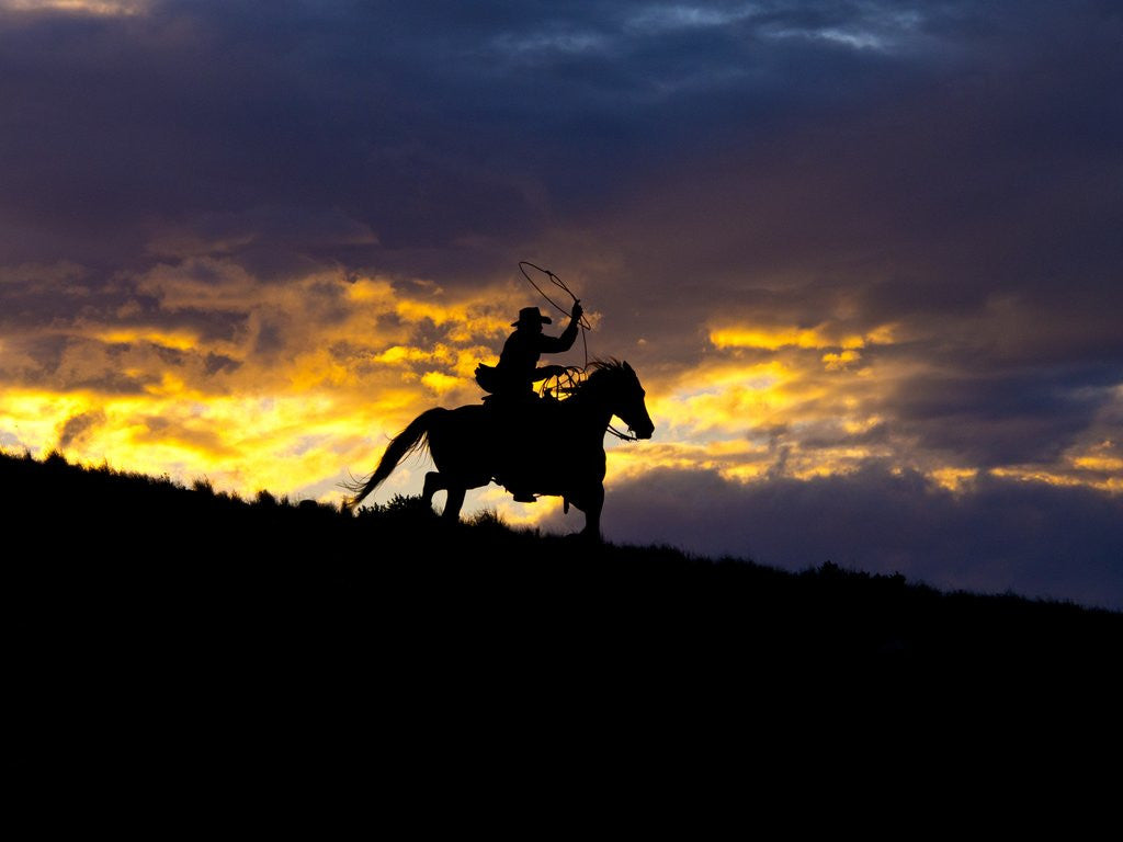 Detail of Cowboy in silhouette with sunset by Anonymous