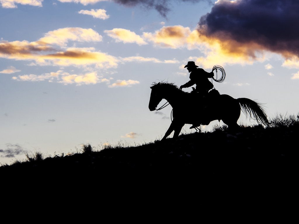 Detail of Cowboy in silhouette with sunset by Anonymous