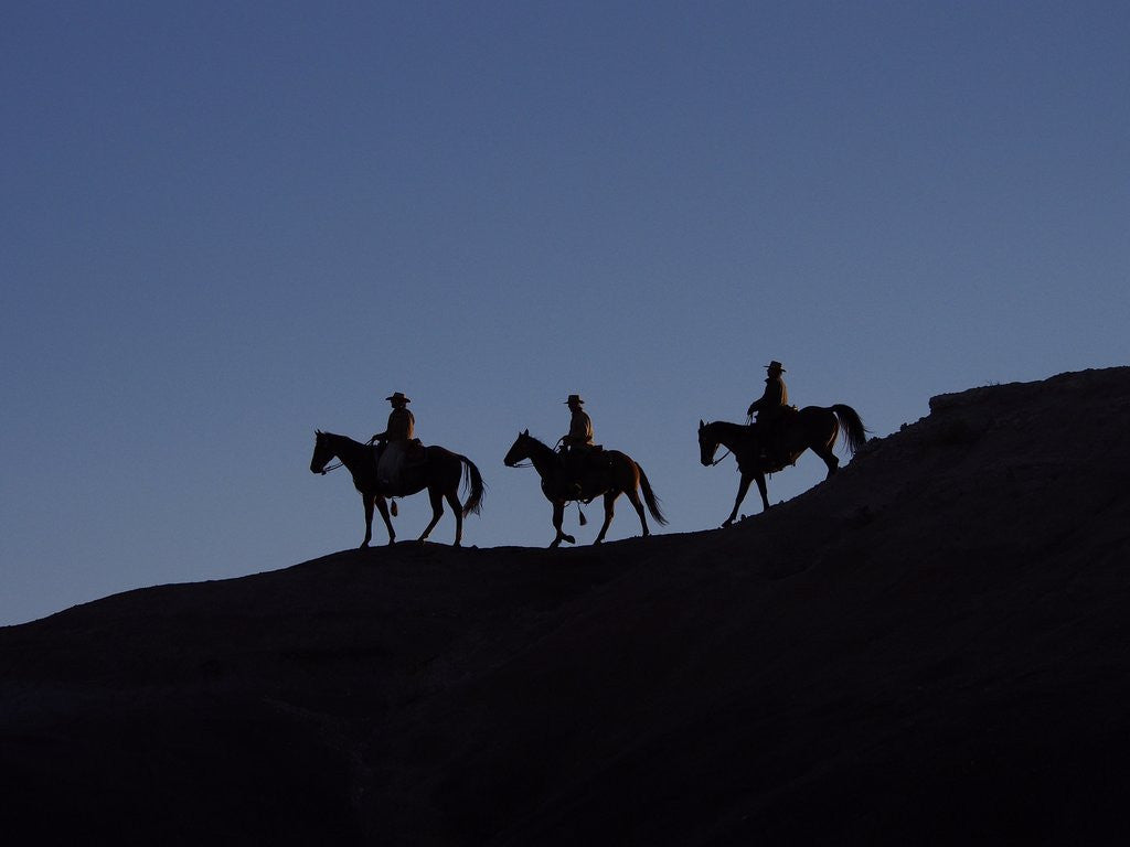 Detail of Cowboys in silhouette by Corbis