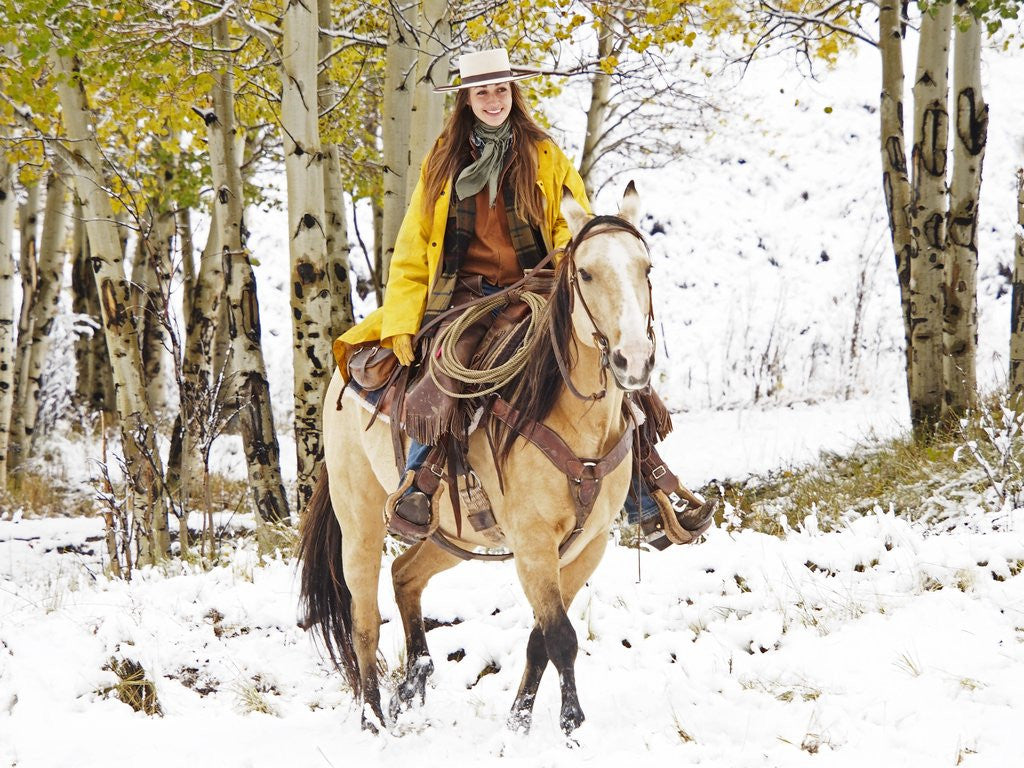 Detail of Cowgirl riding in Autumn Aspens with a fresh snowfall by Anonymous