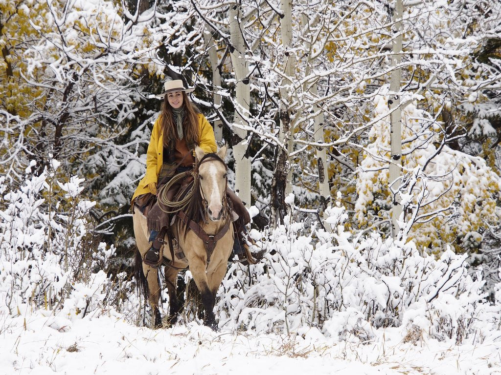 Detail of Cowgirl riding in Autumn Aspens with a fresh snowfall by Anonymous