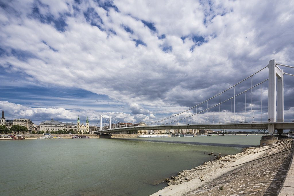 Detail of The river Danube, the Elisabeth Bridge, the town of Pest by Anonymous