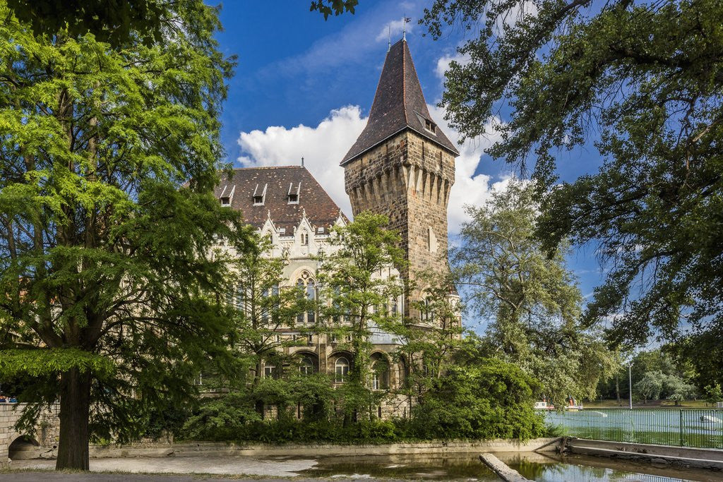 Detail of Pest, Varosliget (City ParK), the Vajdahunyad Castle by Anonymous