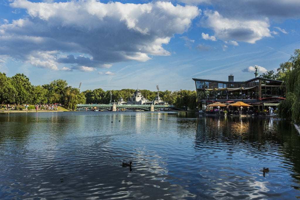 Detail of Pest, Varosliget (City ParK), the lake by Anonymous