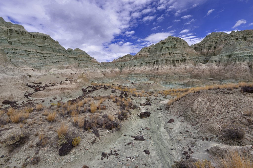 Detail of Blue Basin Unit by Anonymous