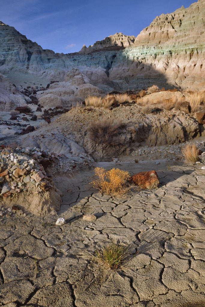 Detail of Blue Basin Unit by Anonymous