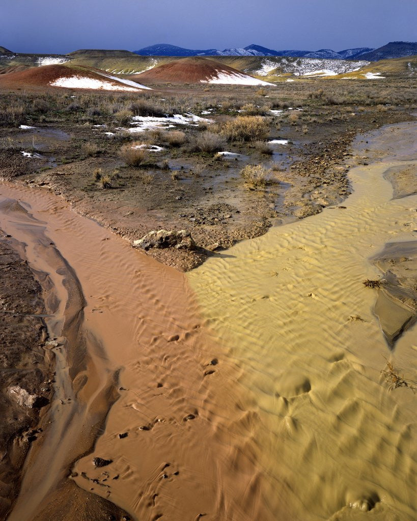 Detail of Painted Hills National Monument by Anonymous