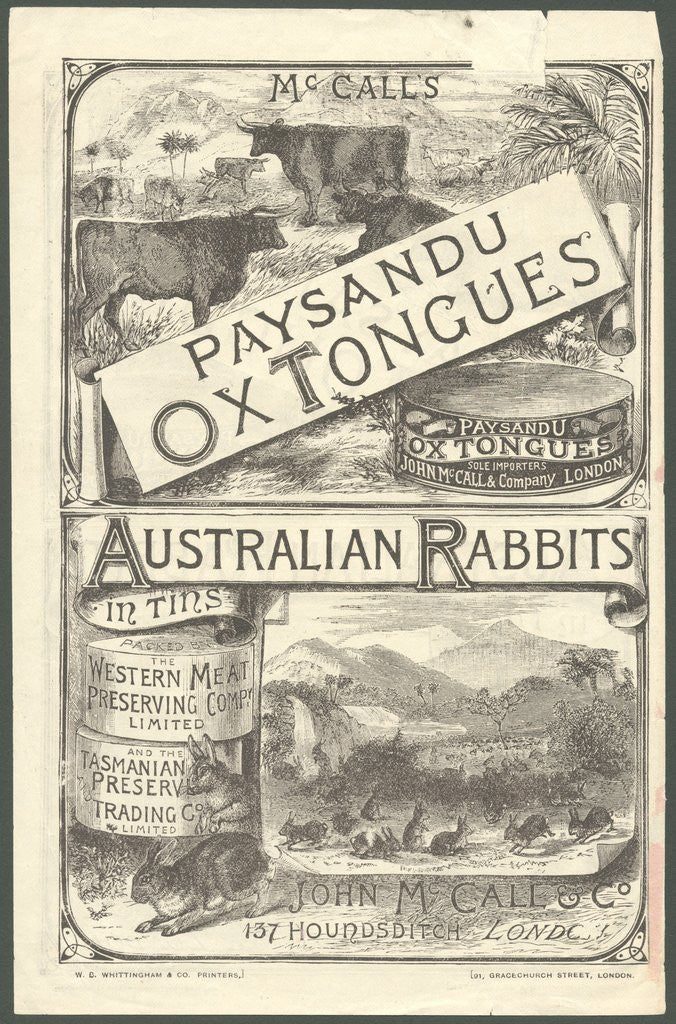 Detail of Paysandu ox tongue, 1890s. by Anonymous
