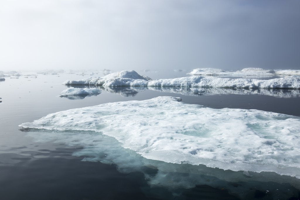 Detail of Melting Sea Ice, Repulse Bay, Nunavut Territory, Canada by Anonymous