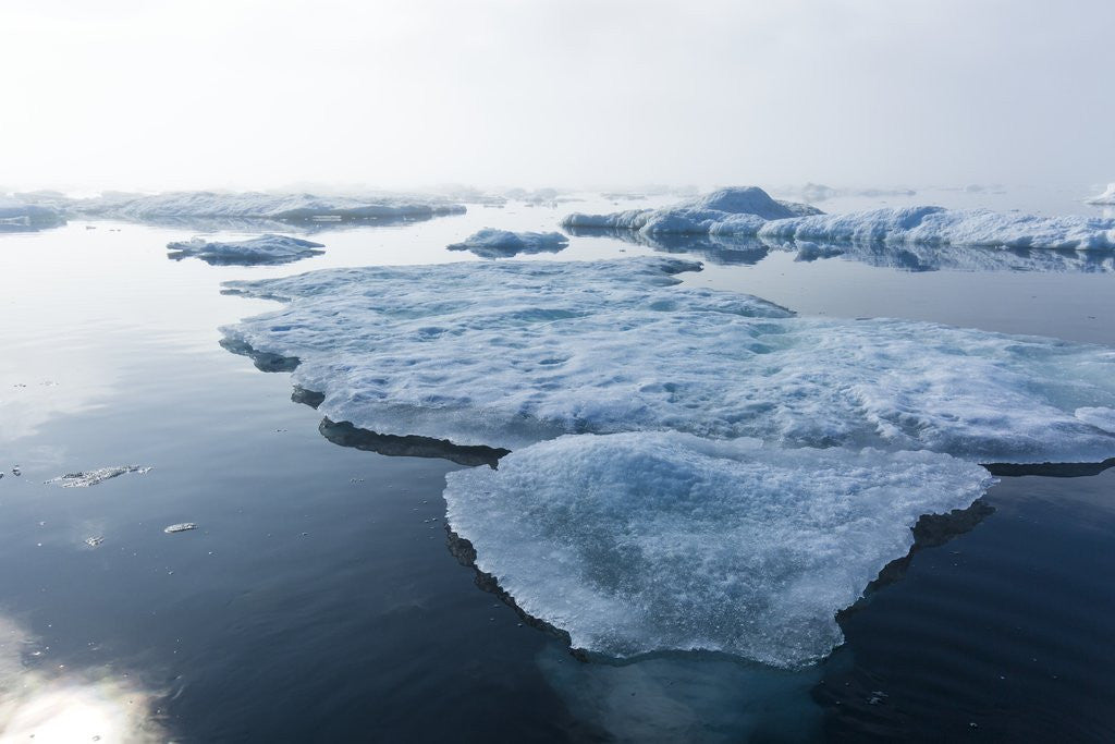 Detail of Melting Sea Ice, Repulse Bay, Nunavut Territory, Canada by Anonymous