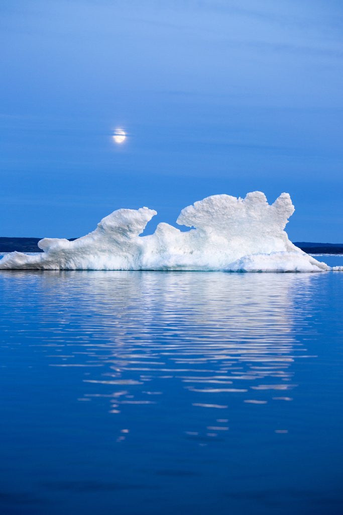 Detail of Melting Sea Ice, Repulse Bay, Nunavut Territory, Canada by Anonymous