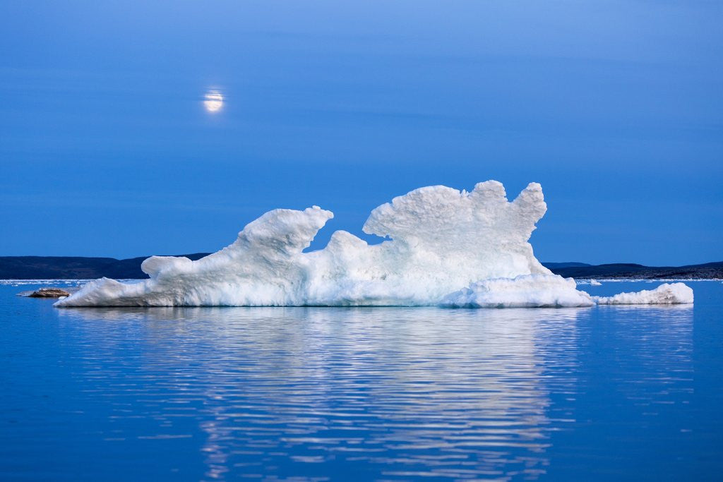 Detail of Melting Sea Ice, Repulse Bay, Nunavut Territory, Canada by Anonymous