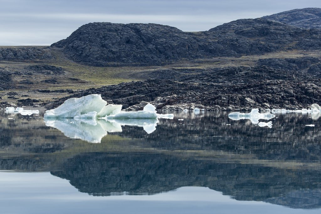 Detail of Melting Icebergs, Repulse Bay, Nunavut Territory, Canada by Anonymous