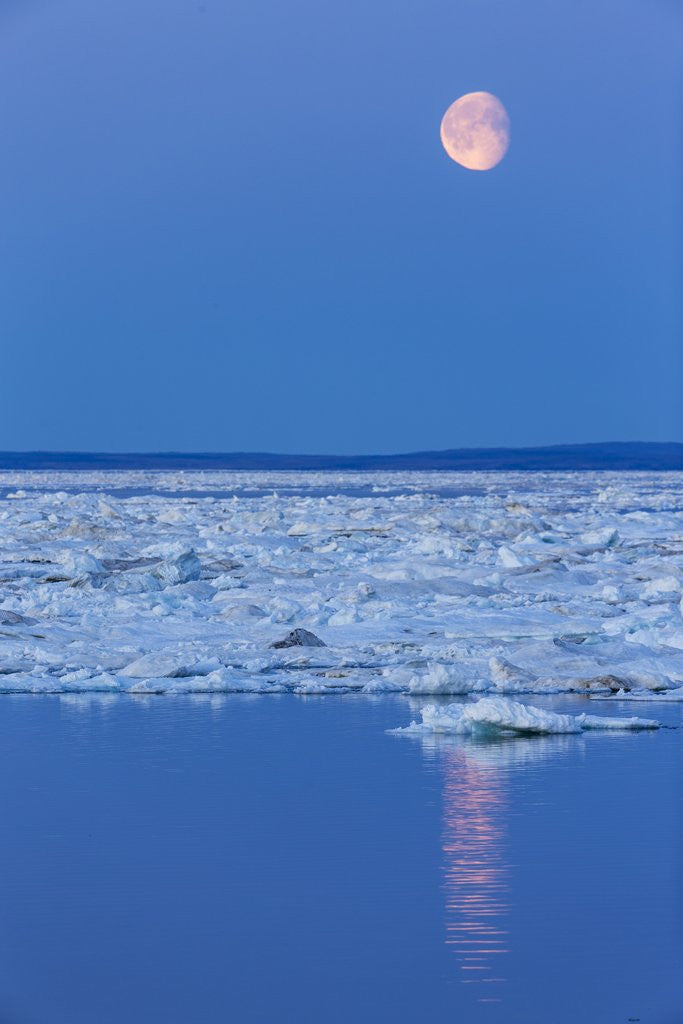 Detail of Full Moon and Melting Sea Ice, Repulse Bay, Nunavut Territory, Canada by Anonymous