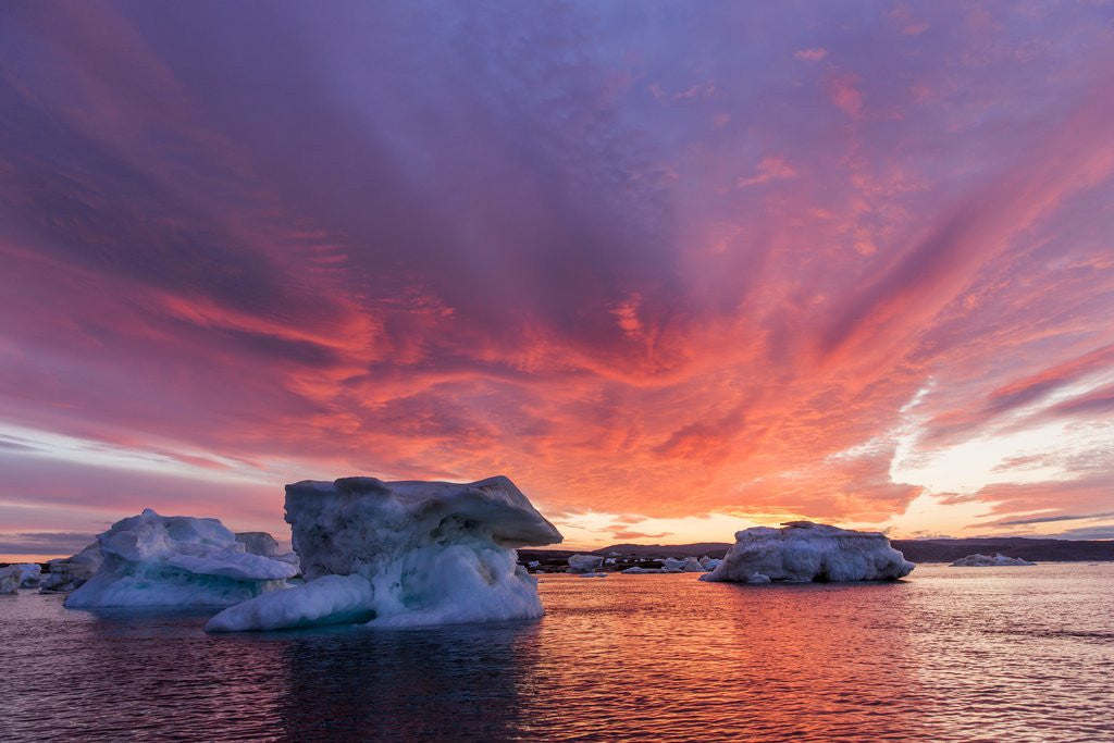 Detail of Melting Sea Ice, Hudson Bay, Nunavut Territory, Canada by Anonymous