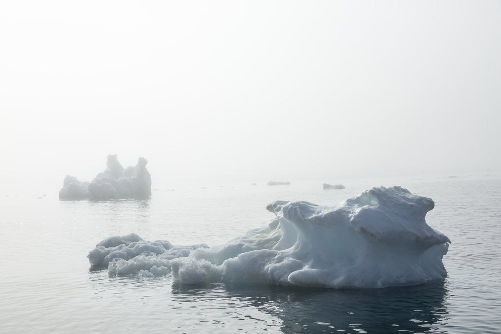 Detail of Melting Sea Ice, Hudson Bay, Nunavut Territory, Canada by Anonymous