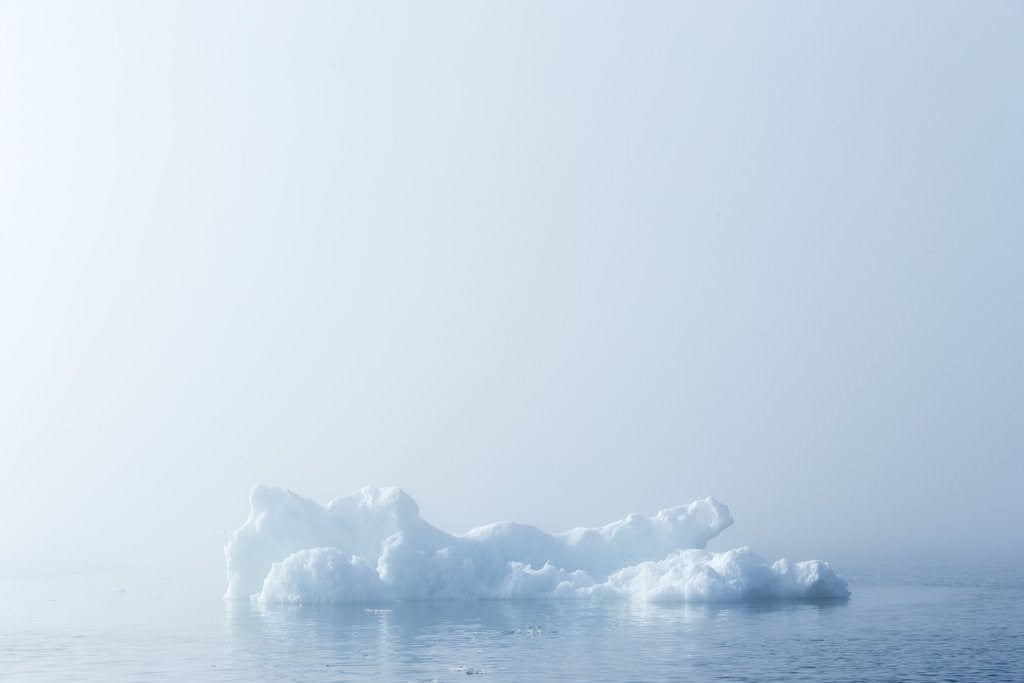 Detail of Melting Sea Ice, Hudson Bay, Nunavut Territory, Canada by Anonymous