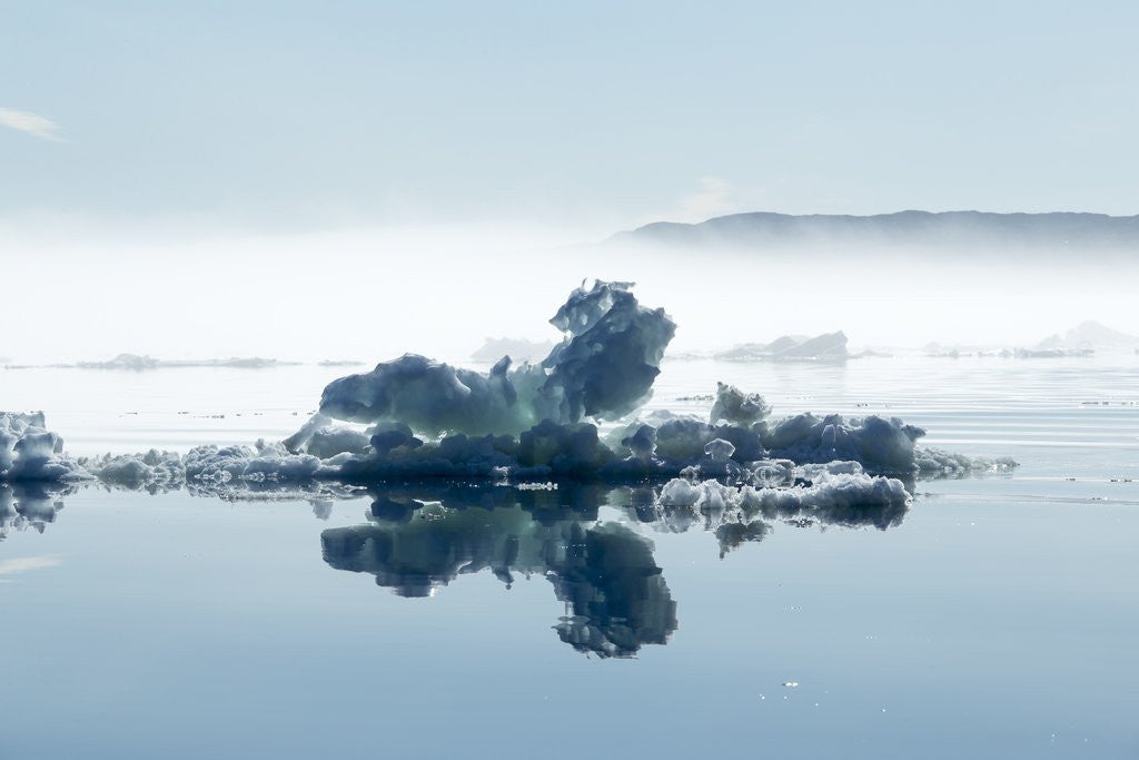 Detail of Melting Sea Ice, Hudson Bay, Nunavut Territory, Canada by Anonymous