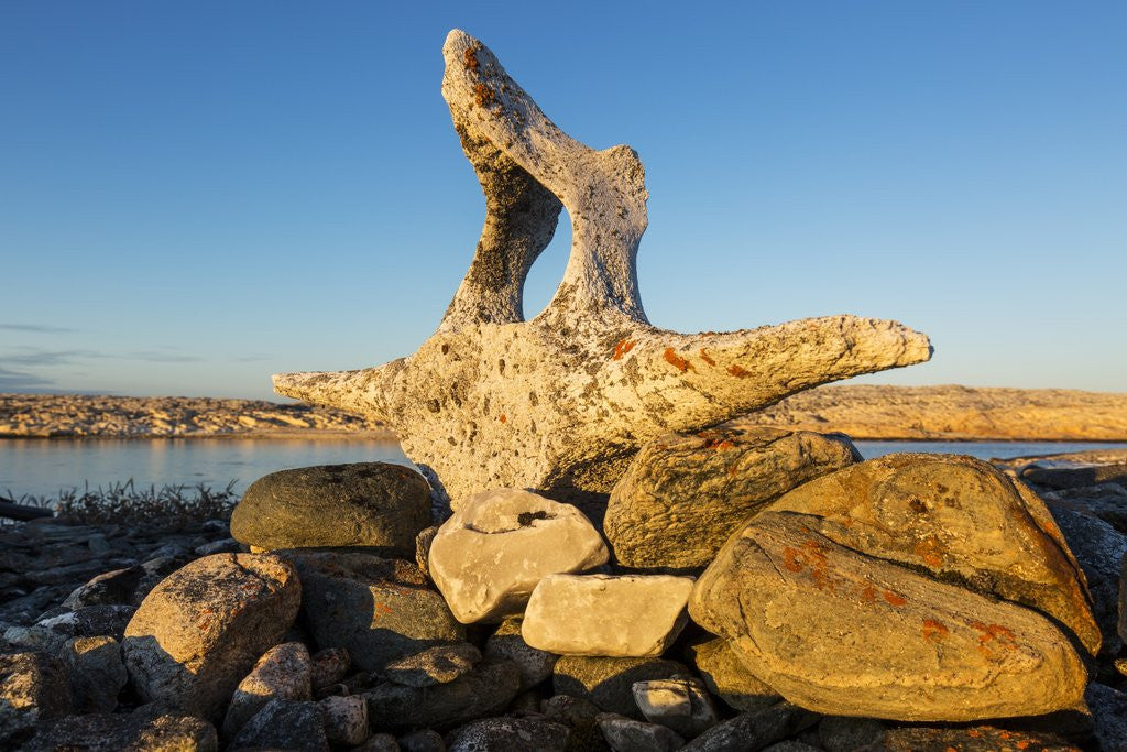 Detail of Whalers' Graves, Deadman Island, Nunavut, Canada by Anonymous