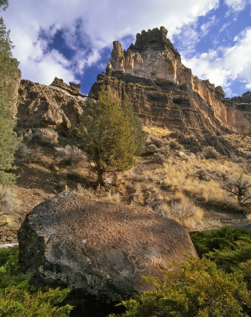 Detail of Crooked River Petroglyph by Anonymous
