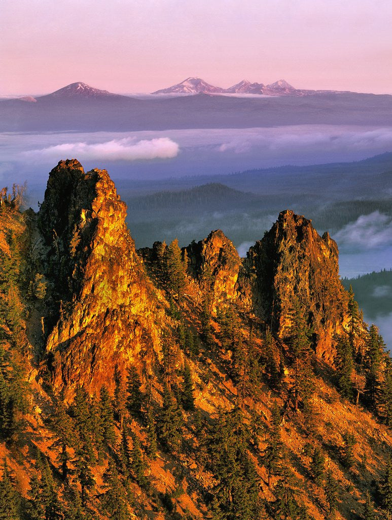 Detail of Morning light on Paulina Peak by Anonymous