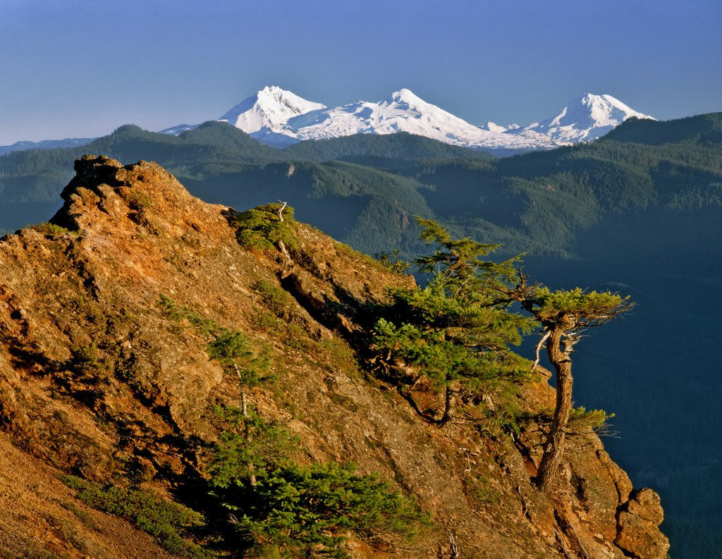 Detail of Three Sisters Mountains by Anonymous