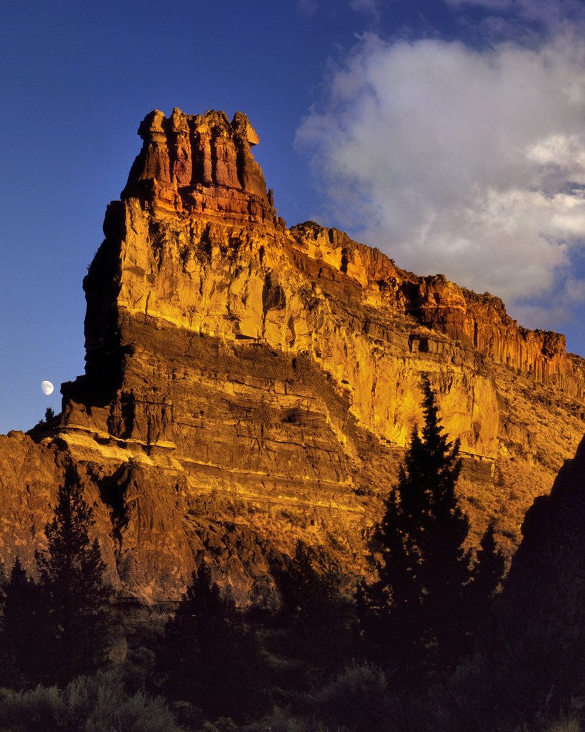 Detail of The Ship rock formation by Anonymous