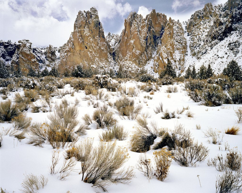 Detail of Smith Rock, Oregon by Anonymous