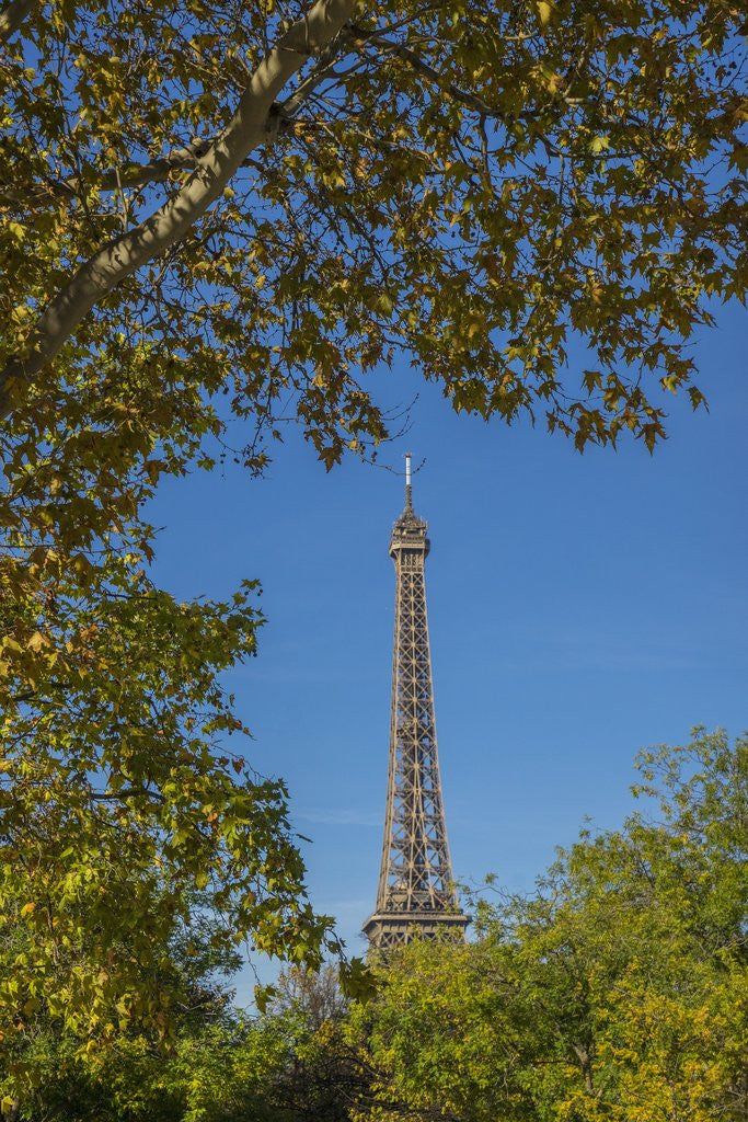 Detail of Eiffel Tower view from Champ de Mars by Corbis