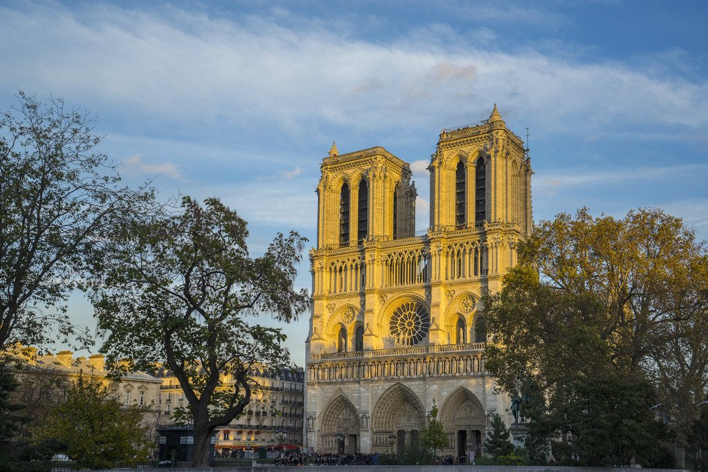 Detail of Notre Dame Cathedral by Anonymous